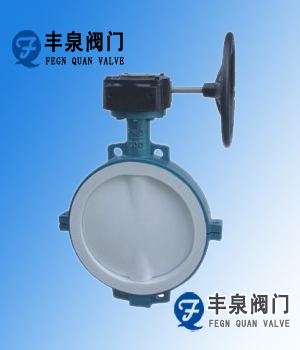 對夾襯氟蝶閥