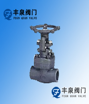 锻钢截止阀